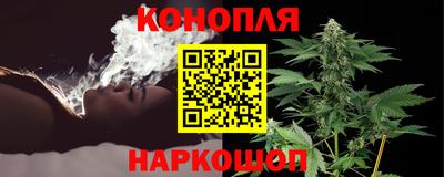 шишки Тулун