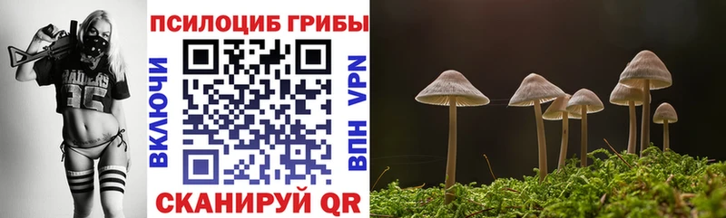 Галлюциногенные грибы Cubensis  Новокузнецк 