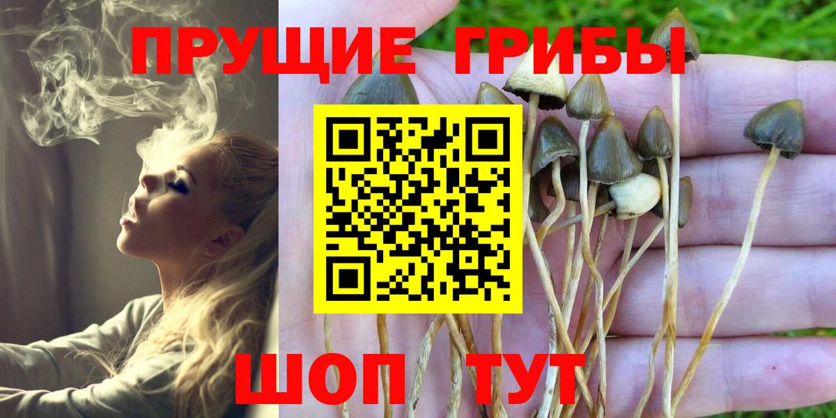 Галлюциногенные грибы MAGIC MUSHROOMS Новокузнецк