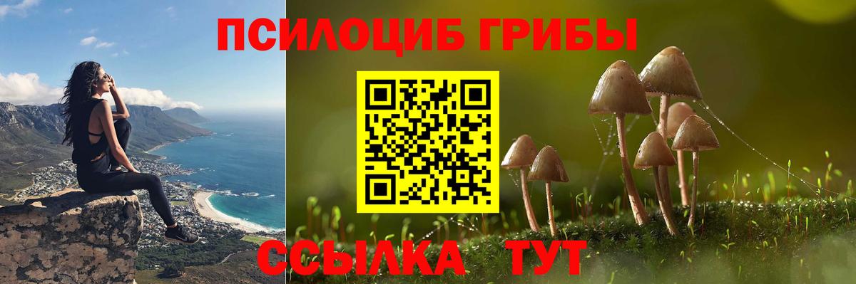 Новокузнецк  Галлюциногенные грибы мицелий  Вход с VPN 
