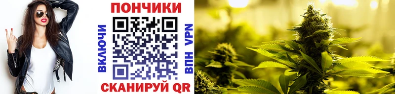 Конопля SATIVA & INDICA  ссылка на мегу сайт  Новокузнецк 